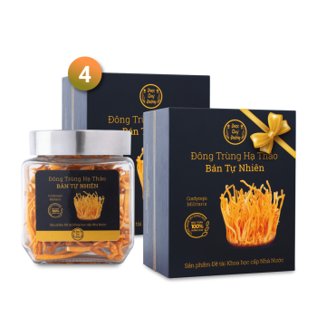 Đông trùng hạ thảo khô Dược Quý Đường - Combo 4 hộp đông trùng hạ thảo bán tự nhiên
