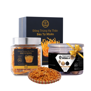 Đông trùng hạ thảo sấy khô Dược Quý Đường hộp 20g